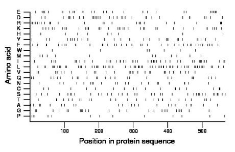 amino acid map