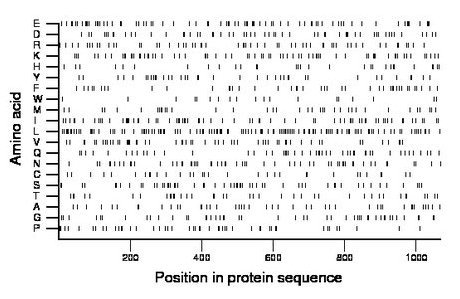 amino acid map