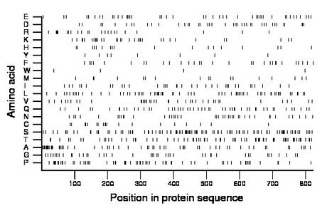 amino acid map