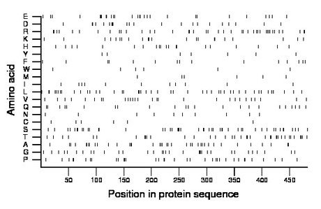 amino acid map