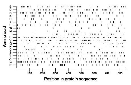 amino acid map