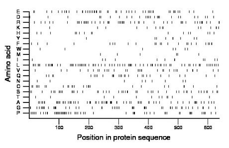 amino acid map