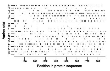 amino acid map