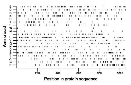 amino acid map