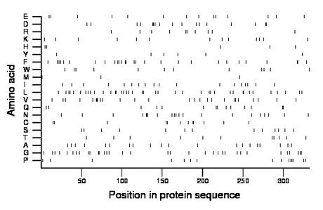 amino acid map