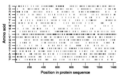 amino acid map