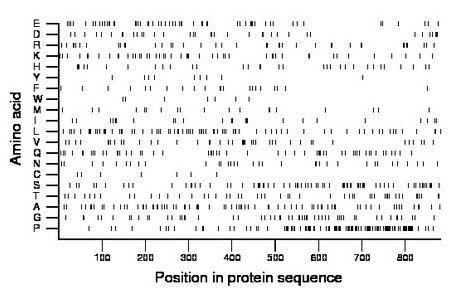 amino acid map