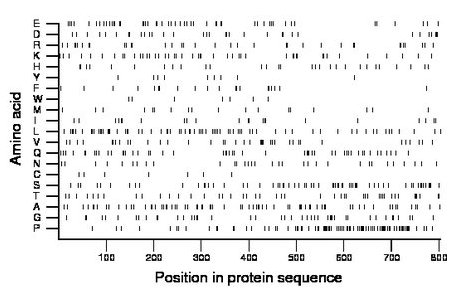 amino acid map