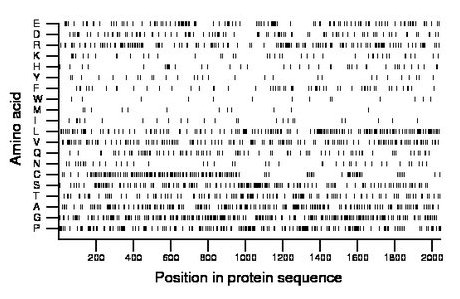 amino acid map