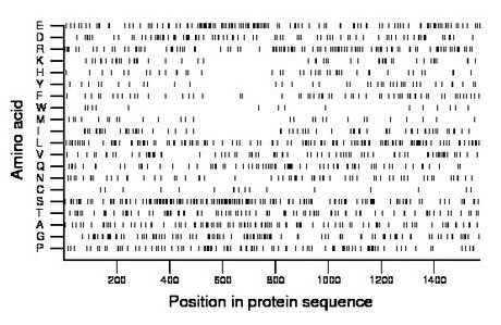 amino acid map