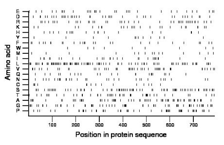 amino acid map