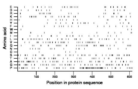 amino acid map