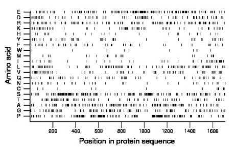 amino acid map