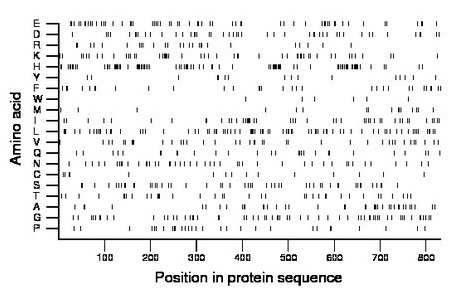 amino acid map