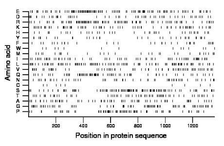 amino acid map