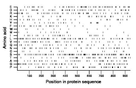 amino acid map