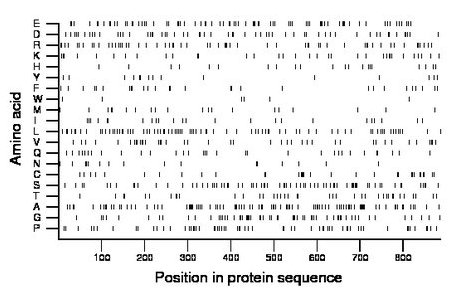 amino acid map