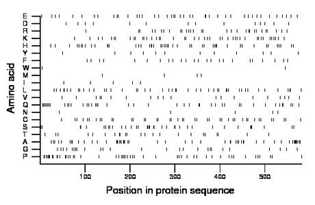 amino acid map