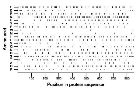 amino acid map