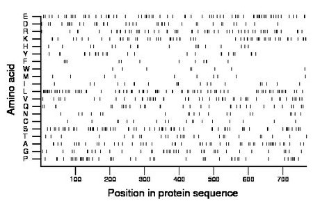 amino acid map