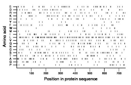 amino acid map