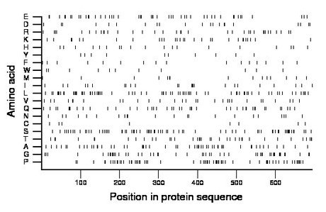 amino acid map