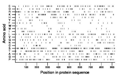 amino acid map