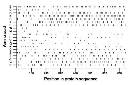 amino acid map