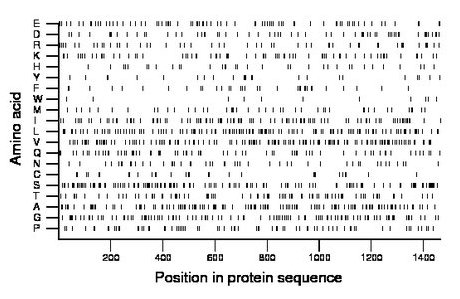 amino acid map