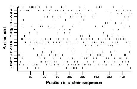 amino acid map