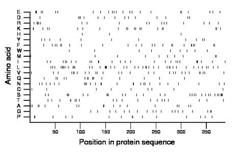 amino acid map