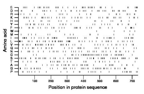 amino acid map