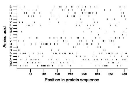 amino acid map