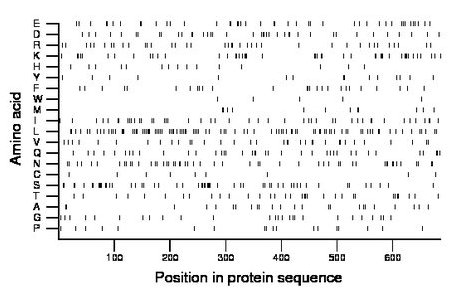 amino acid map