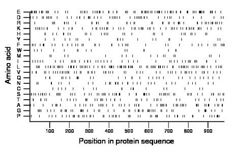 amino acid map