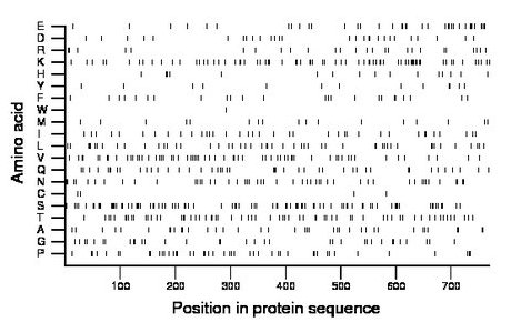 amino acid map