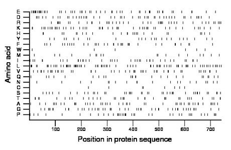 amino acid map