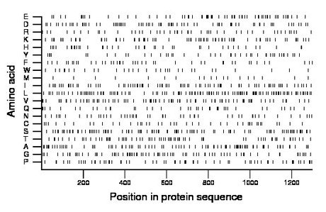 amino acid map