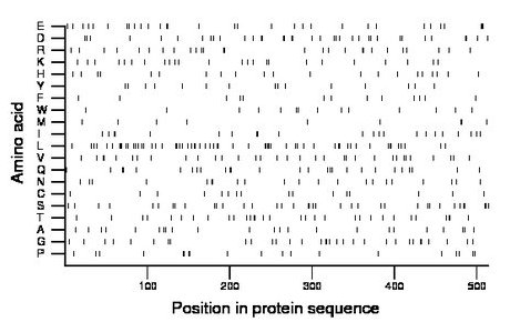 amino acid map