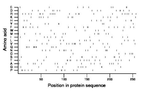 amino acid map