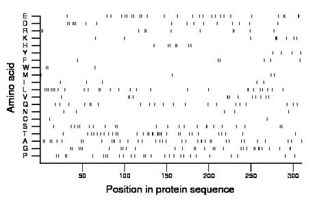 amino acid map