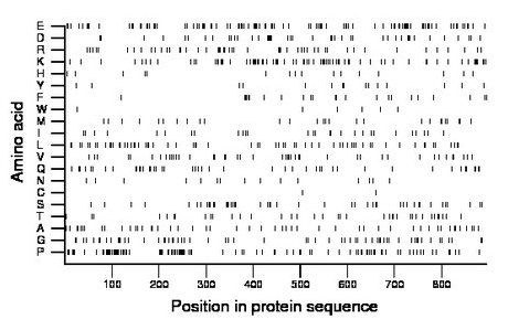 amino acid map