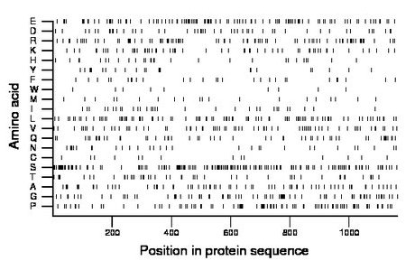 amino acid map