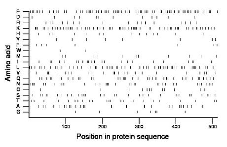 amino acid map