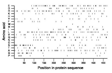 amino acid map