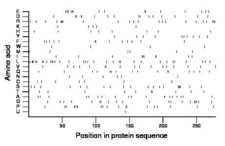 amino acid map