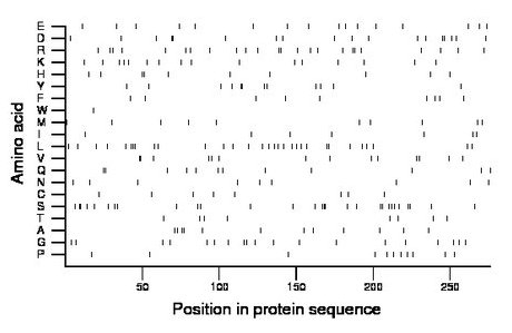 amino acid map