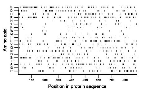 amino acid map