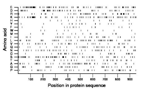 amino acid map