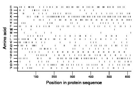 amino acid map